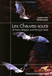 rencontre chauves souris bourges